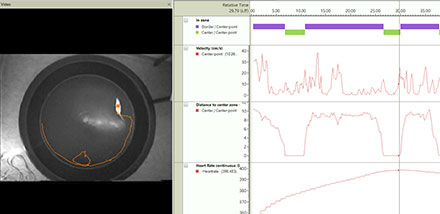 integrated visualization EthoVision XT