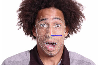 FaceReader-Mesh
