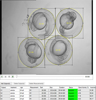 Danioscope activity detection