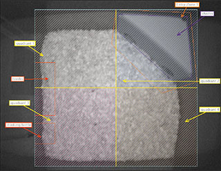 areas of interest home cage video tracking