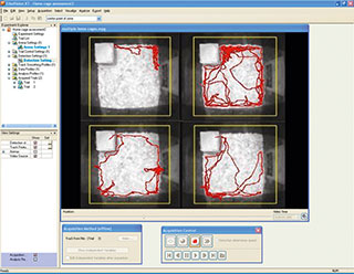 ethovision xt video tracking four cages home cage phenotypers