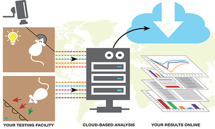 AHCODA workflow