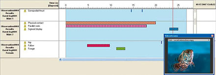 results behaviors research fish