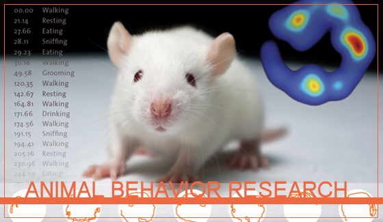 ANIMAL BEHAVIOR RESEARCH