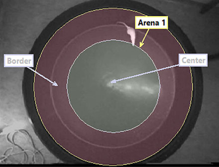 Arena definition EthoVision XT