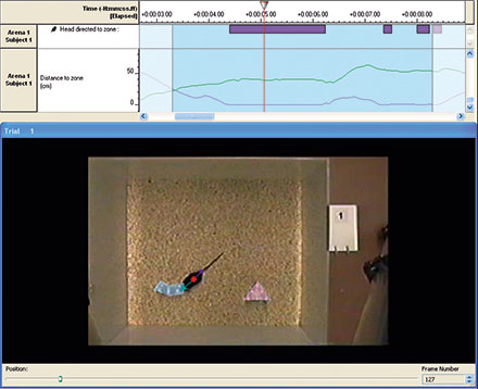 ethovision xt novel object tracking