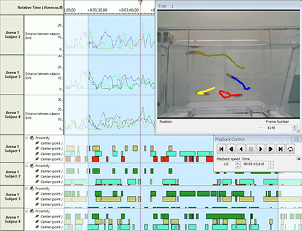 zebrafish shoaling automatic measurements ethovision xt video tracking