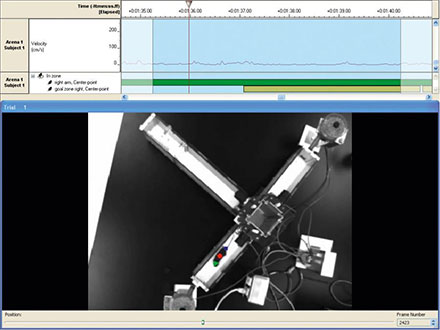 t-maze test automated with pellet dispensers